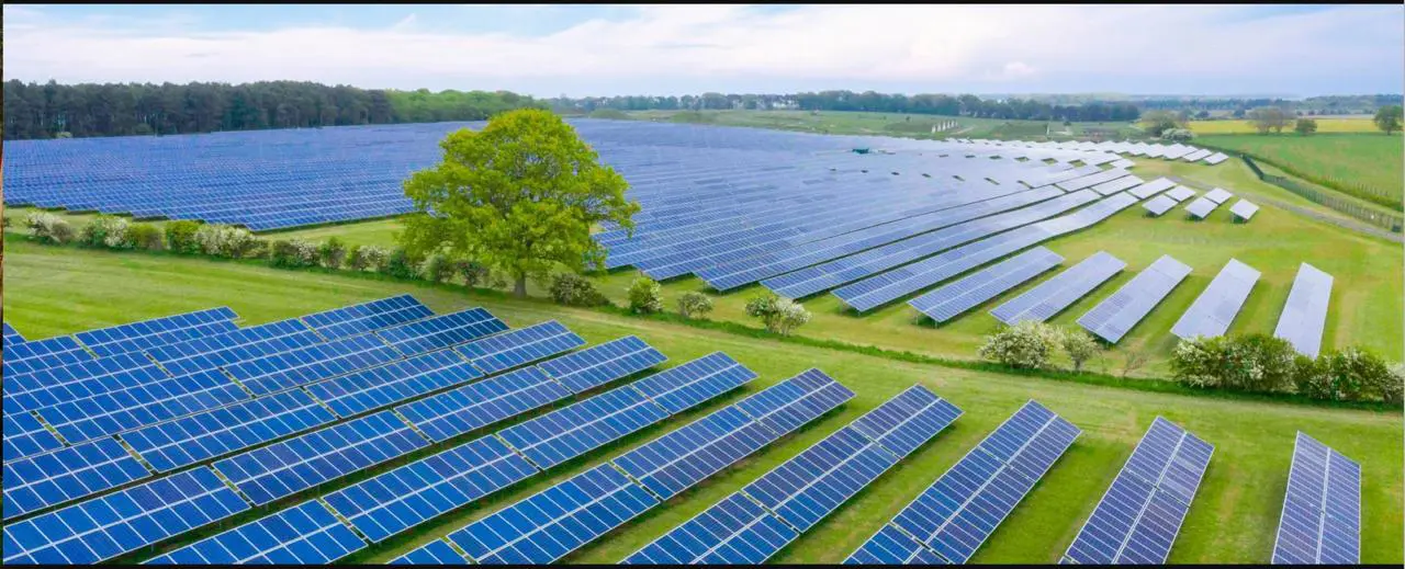 Solar +
                BESS, Hydro, and Pumped Storage Projects